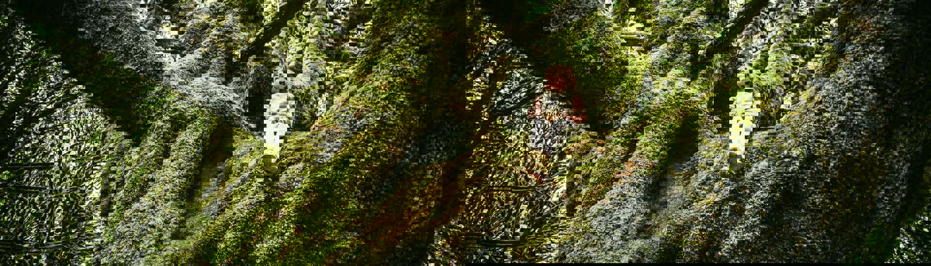 Kindje in groene boom: Grootouders voor het Klimaat