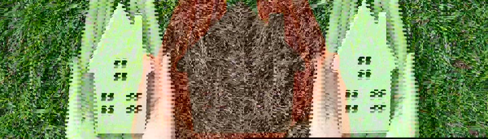 Handen houden huisje vast: is investeren in zonnepanelen interessant?