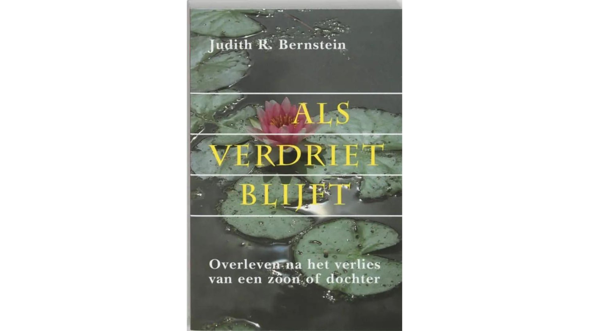 Boek over rouwverwerking: Als verdriet blijft