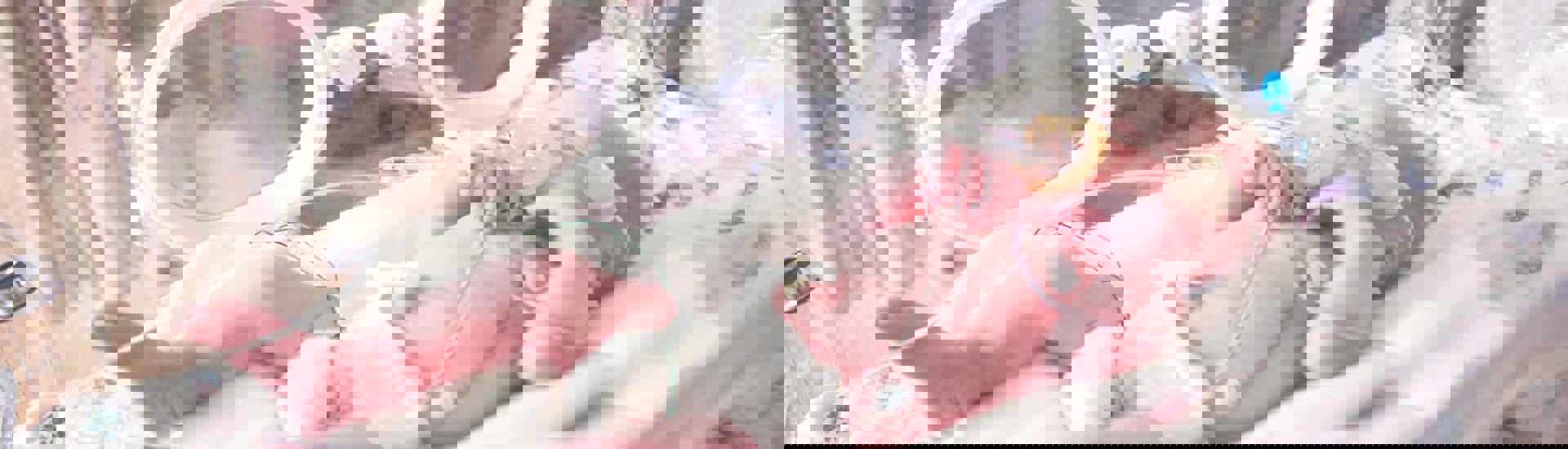 Premature baby in couveuse