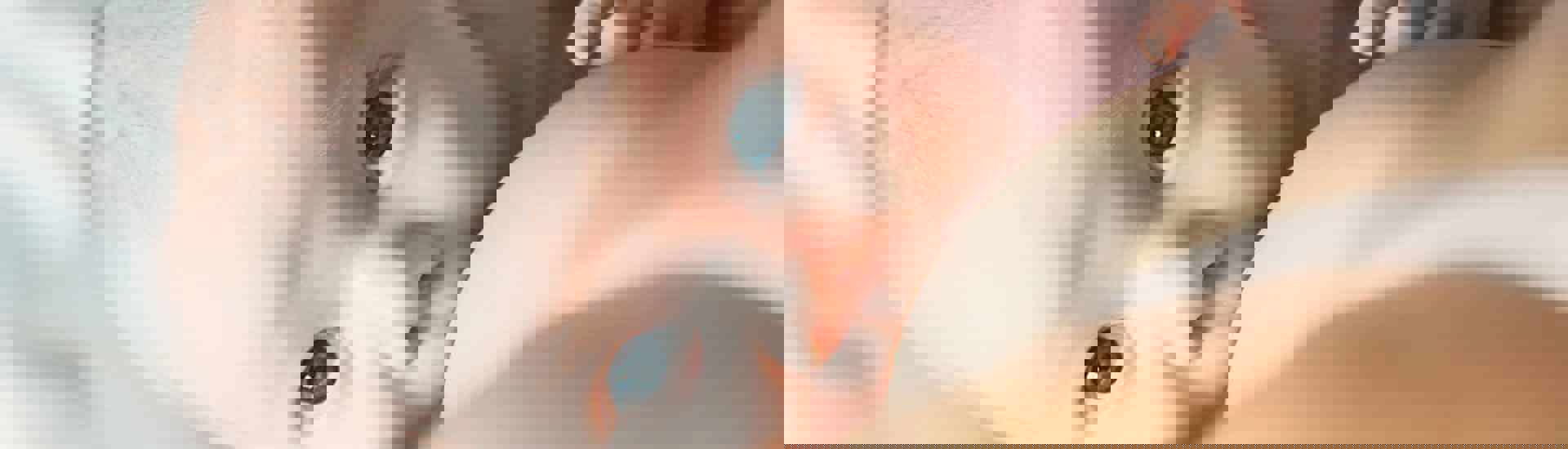 Baby drinkt borstvoeding