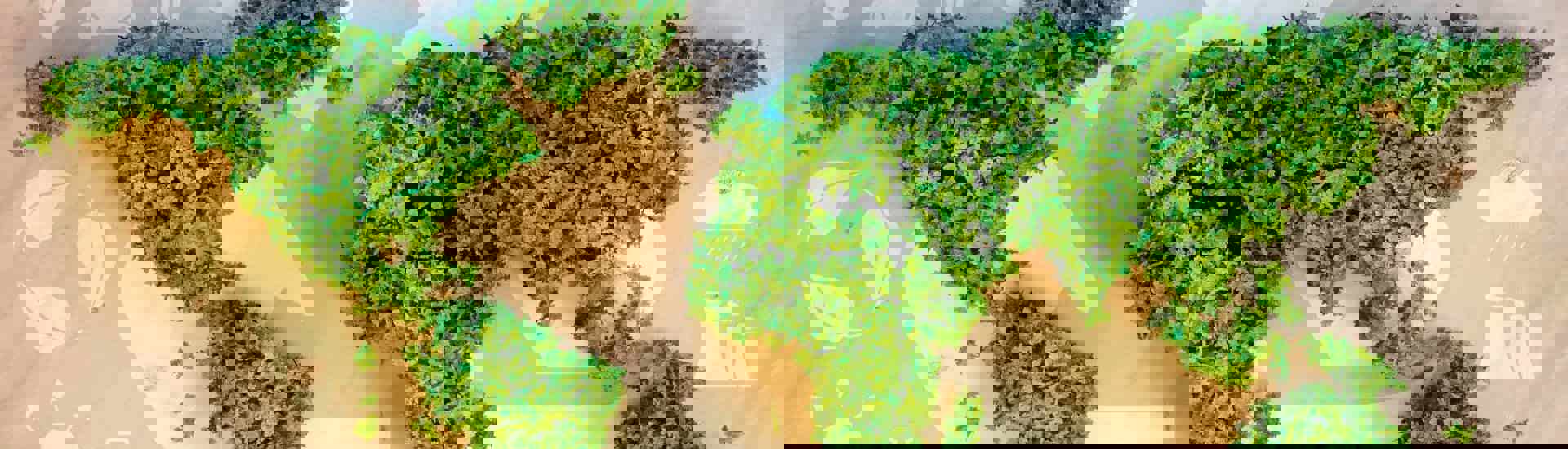 Tien klimaatacties die werken, ook bij jou thuis 