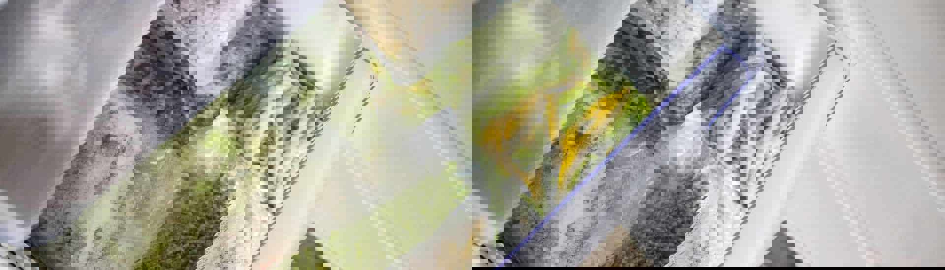 Diepvriezer vol groenten: is een diepvriezer energiezuinig?