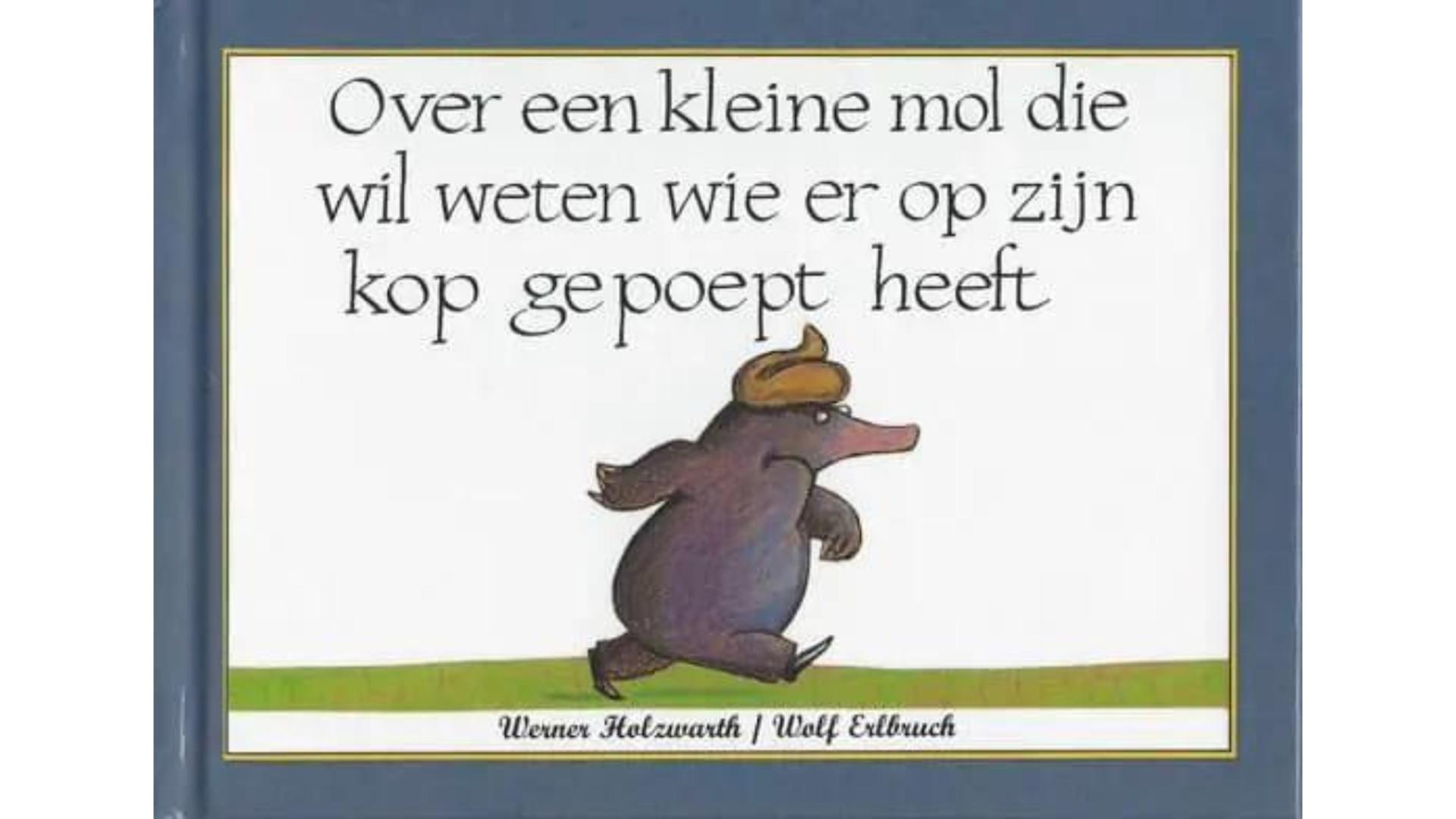 Boek over zindelijk worden: Over een kleine mol die wil weten wie er op zijn kop gepoept heeft