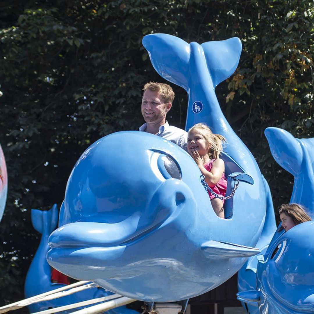 Gezinsbond ledenkorting Boudewijnseapark Dolfiswing
