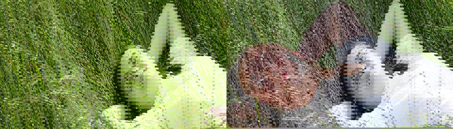 Eline getuigt over haar worsteling met anorexia