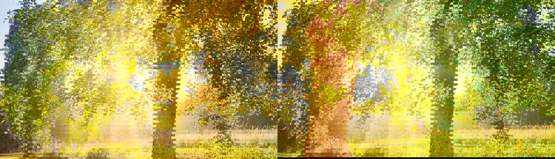 verre van weg video sterrenkindjes