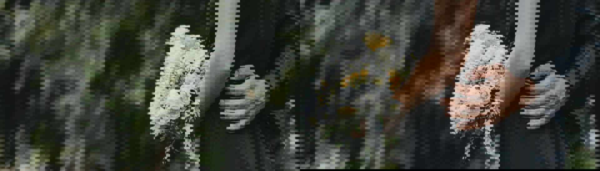 Ouders rouwen op kerkhof om verlies van sterrenkindje