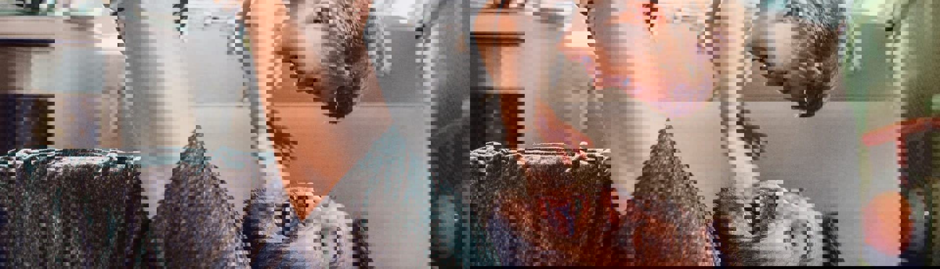 Papa en peuter spelen actief samen