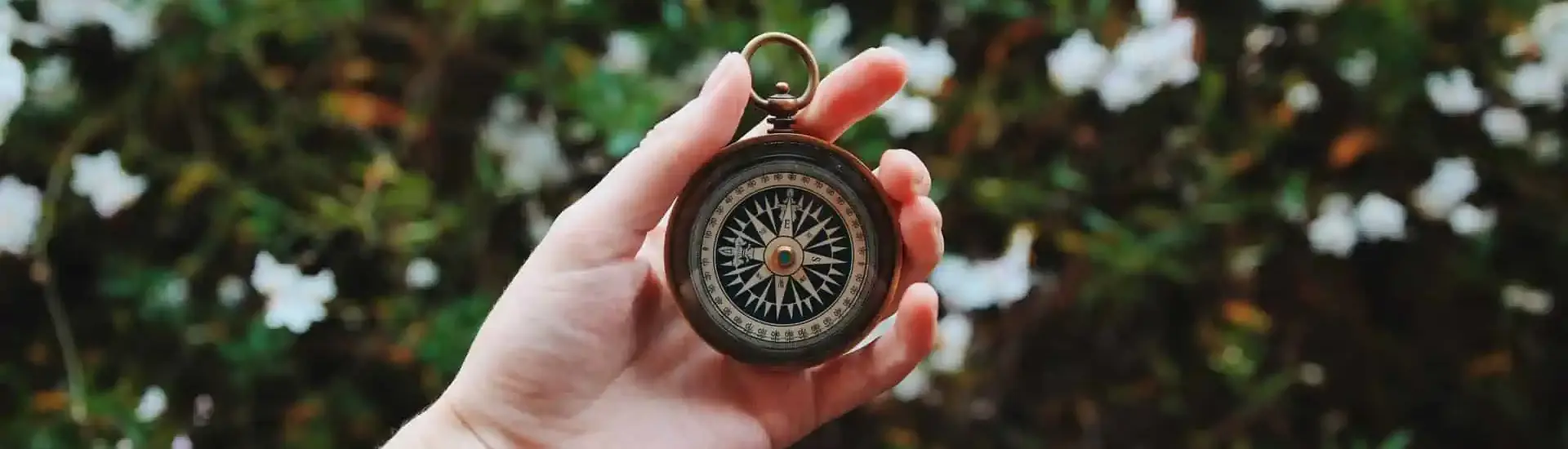 Kompas voor sandwichers die gekneld zijn tussen werk en zorg: de sandwichcoach helpt!