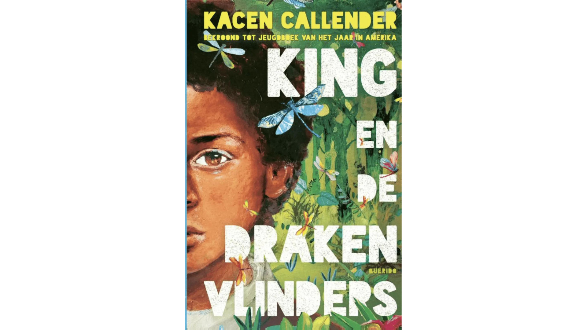 Boek over diversiteit: King en de drakenvlinders