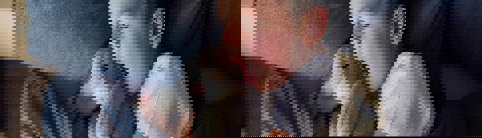 Peuter met knuffelt slaapt in eigen bed