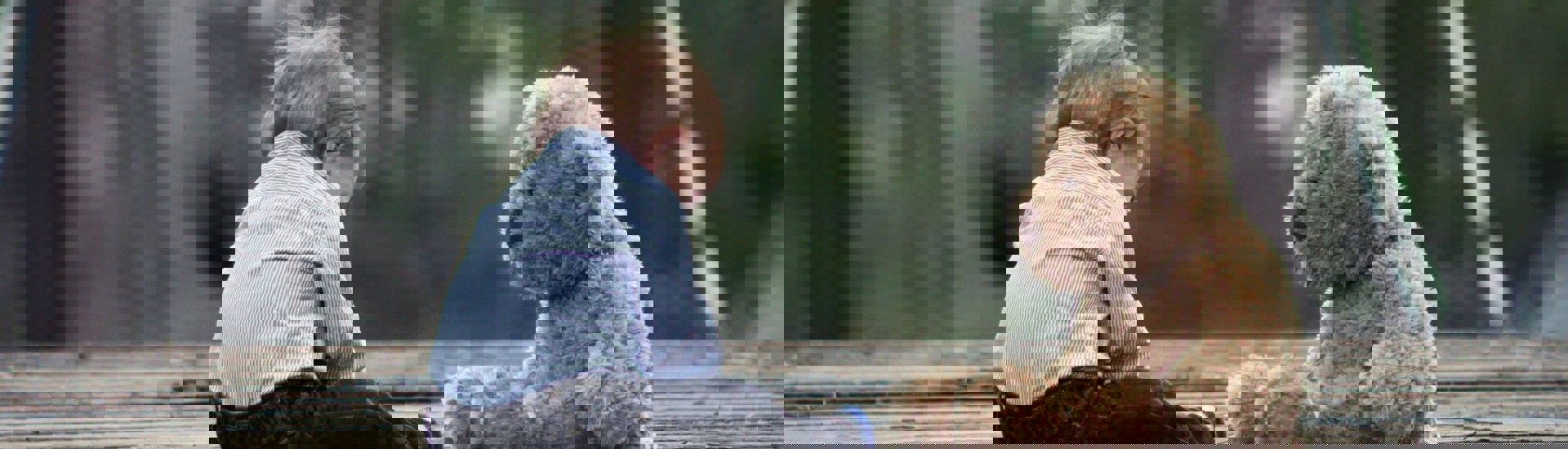 Wees met knuffelbeer