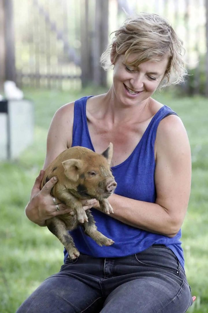 Madame Zsazsa Boerderij