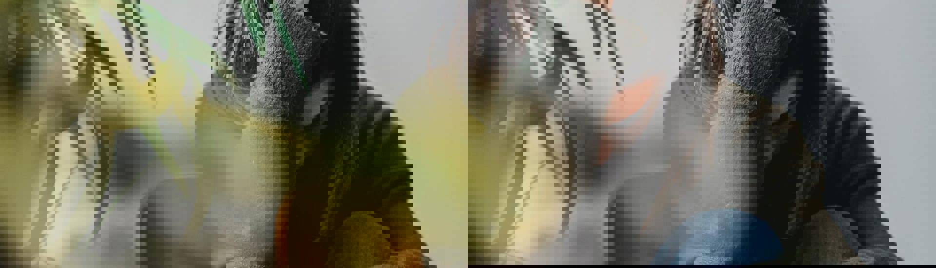 Tiana worstelt met boulimie