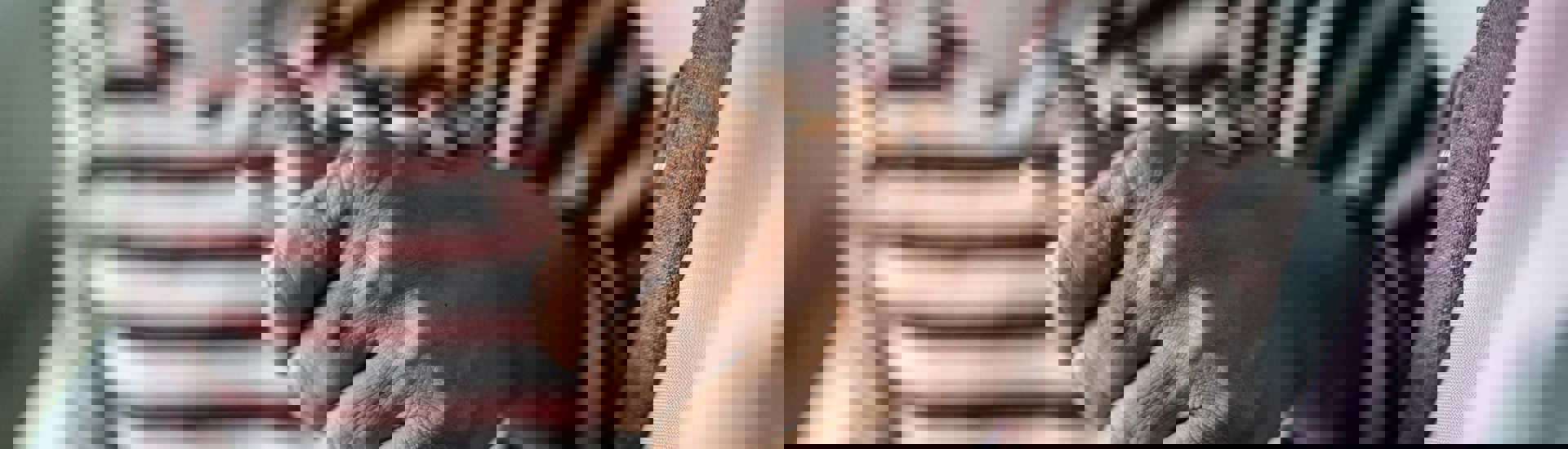 Helpende hand oude vrouw: verlof voor mantelzorgtaken