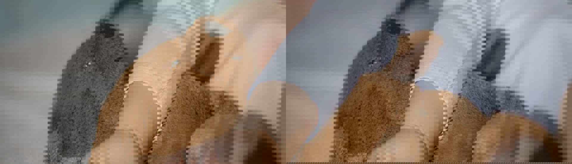 Baby met knuffel slapend in bed