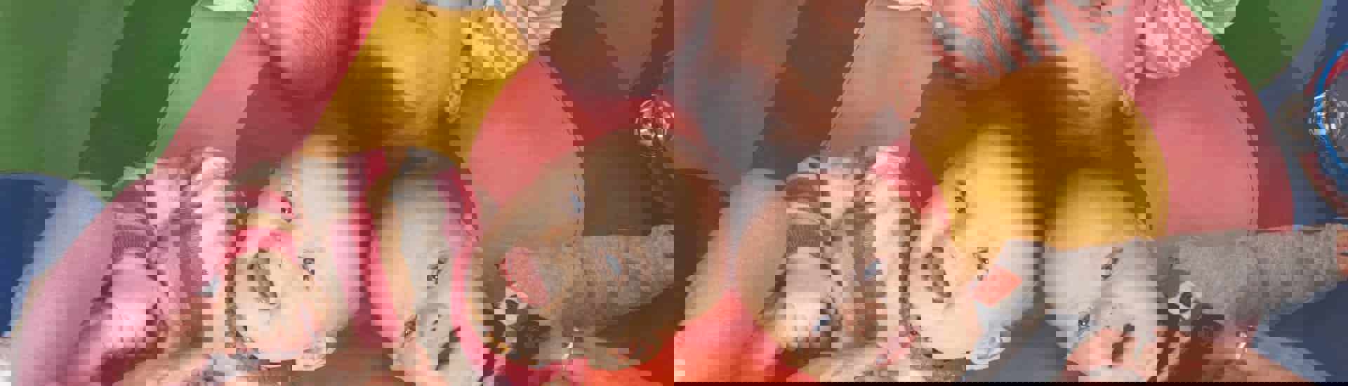 Lachende baby's: Kwaliteit van de kinderopvang