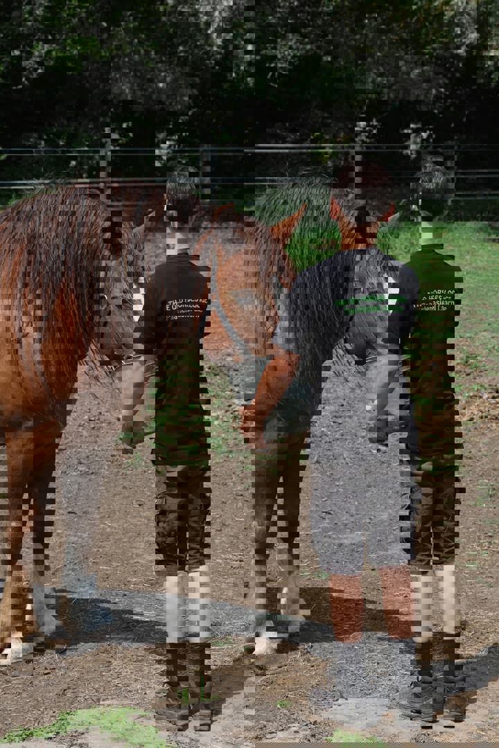 Alexander op The Old Horses Lodge