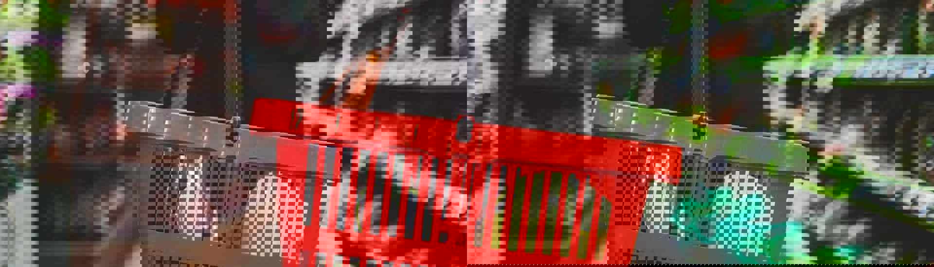 Vrouw met winkelmandje: Voedselverspilling vermijden