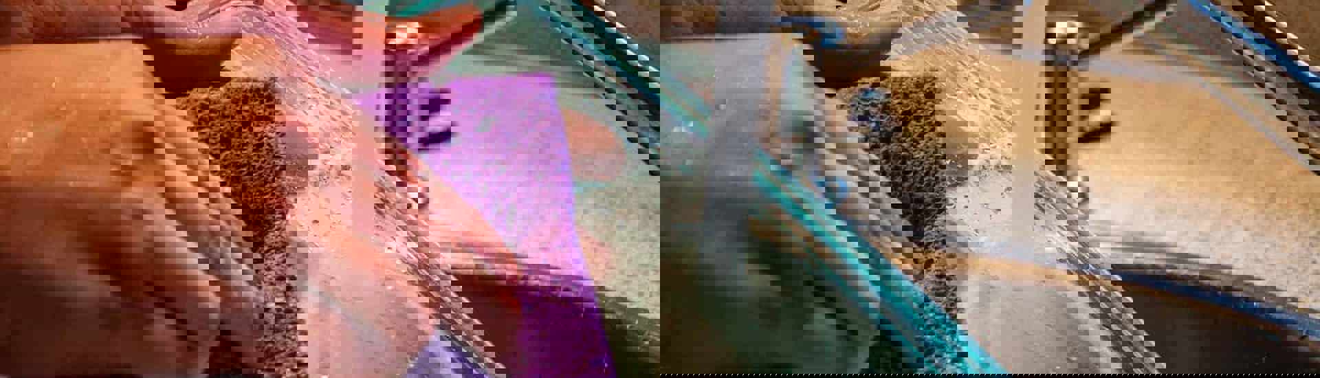 Afwassen: zo vermijd je hormoonverstorende stoffen