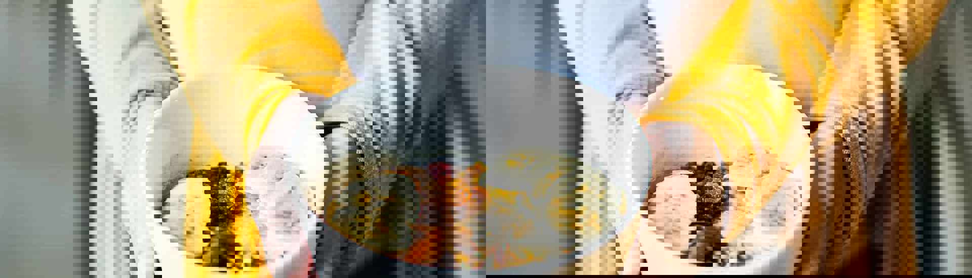 Zwangere vrouw met gezond ontbijt