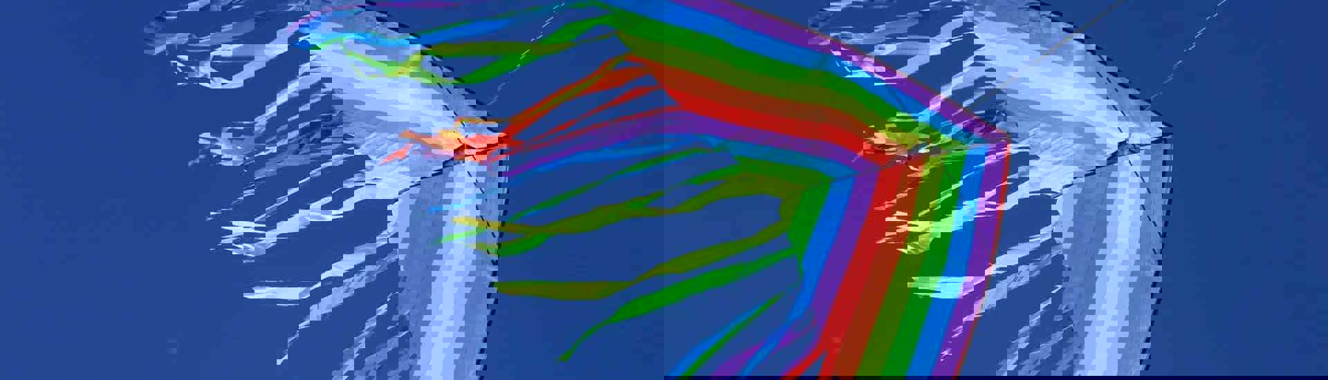 Strandvlieger: Wat geeft de sandwichgeneratie energie?