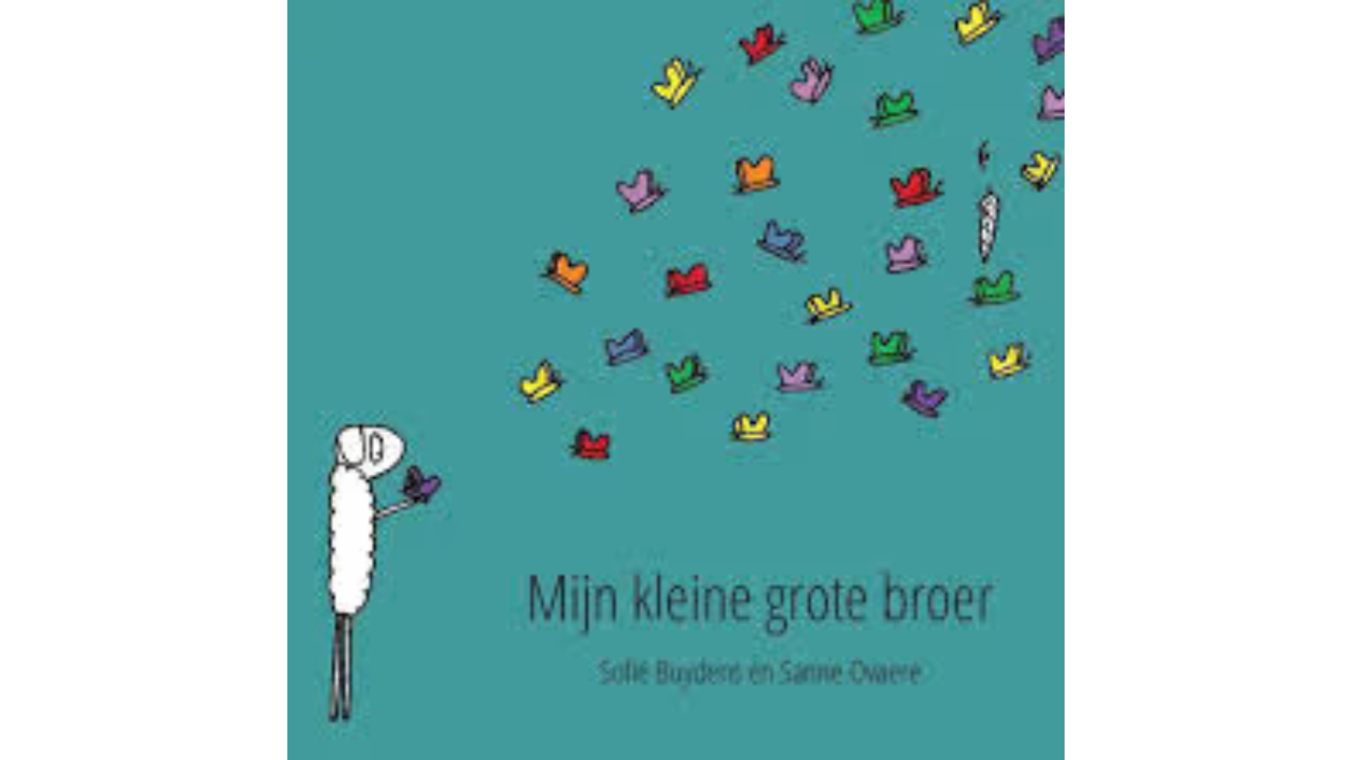 Kinderboek bij overlijden: Mijn kleine grote broer