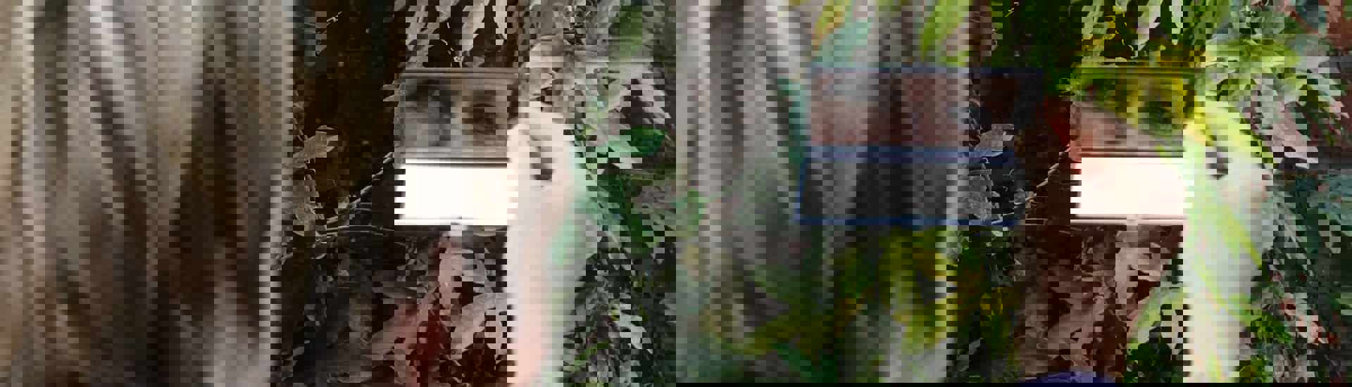 Annemie Struyf kijkt in spiegel