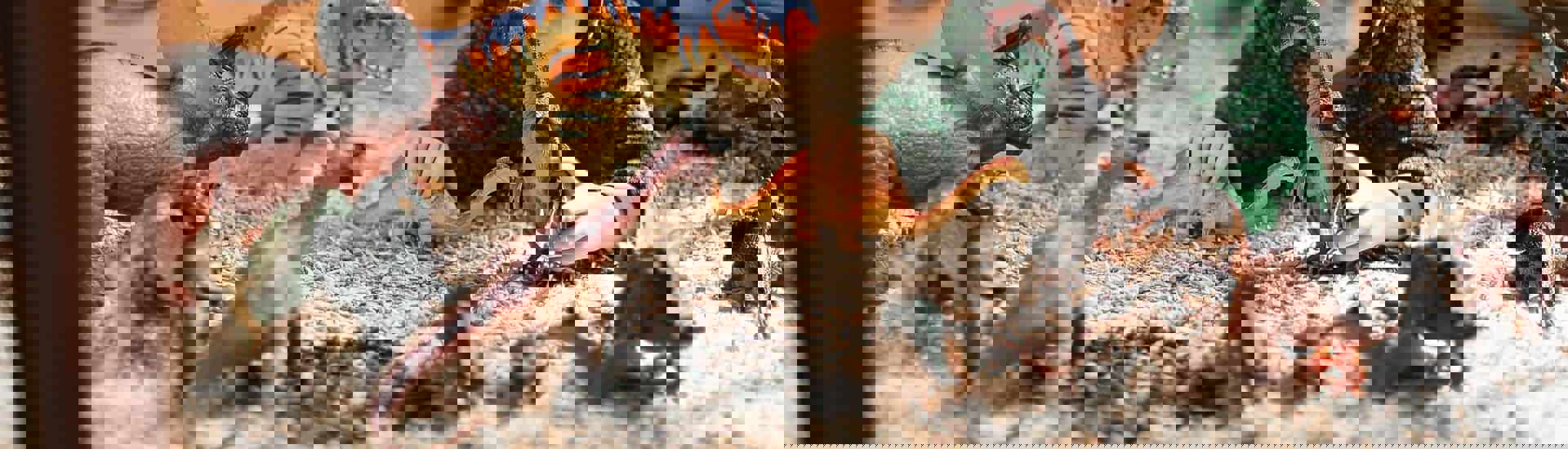 Kind speelt met dino's: cadeautips die geen speelgoed zijn 