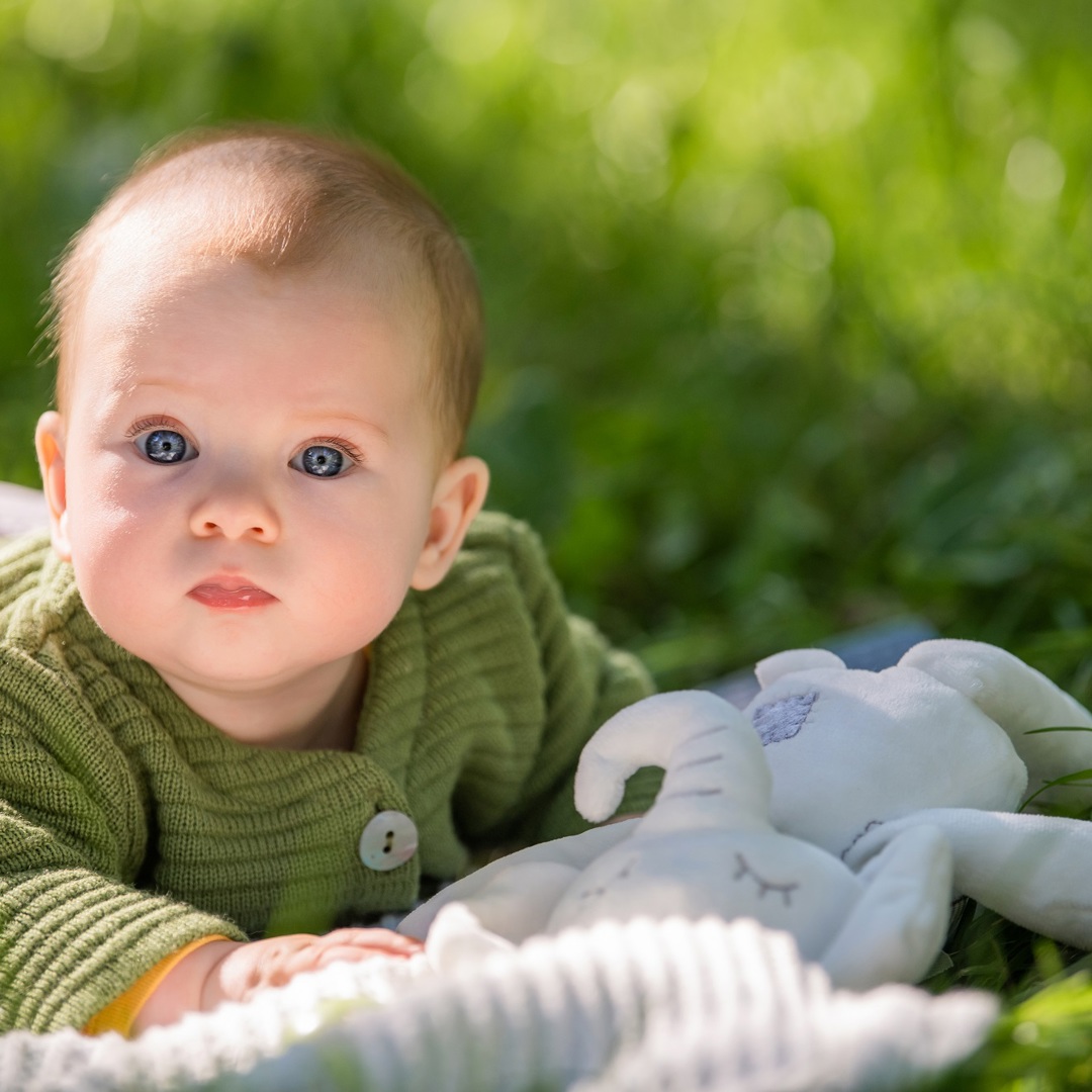 Banner Baby Lente op deken in het gras